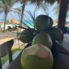 Отель Margarita Beach, фото 50