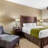 Отель Comfort Inn & Suites Lakeside, фото 33