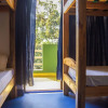 Отель Green Nest Hostel, фото 4