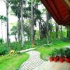 Отель Saffronstays Coorg Toddy Farms, фото 15