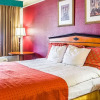 Отель Rodeway Inn & Suites, фото 3