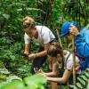 Отель Cotococha Amazon Lodge - Napo River Lodge, фото 18