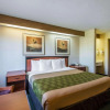 Отель Econo Lodge North Academy, фото 19