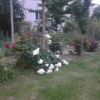 Отель Petrovi Guest House, фото 11