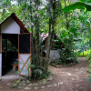 Отель Costa Rica Glamping, фото 2
