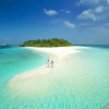 Отель Ras Reef Guest House, фото 14