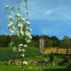 Отель Holiday Home With Garden, Terrace and Jacuzzi in Season in Vielsalm, фото 7