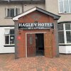 Отель Hagley Hotel, фото 1