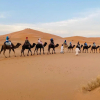 Отель Merzouga Camp And Hostel, фото 13