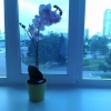Гостиница Newburg Apartament on Voevodina в Екатеринбурге