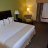 Отель Holiday Inn Fort Myers - Downtown Area, an IHG Hotel, фото 29