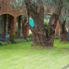 Отель Sarabi Country Lodge, фото 14