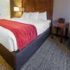 Отель Comfort Inn & Suites, фото 31
