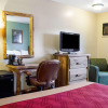 Отель Econo Lodge Custer, фото 7