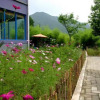 Отель East Huangshan Youth Hostel, фото 18