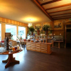 Отель Edelweiss Lodge, фото 15