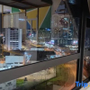 Отель JQ#03 City View Slide LoftBed 2R1B 5Pax Near Suria Mall, Gaya St, Sicc, фото 3