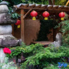 Отель Yupingge·Long history Viewing Huizhou Design Homestay (Hongcun Pingshan Scenic Area), фото 10