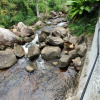 Отель Riverside Mount Simpson - Seychelles Island, фото 23