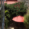 Отель Casona Rosa, фото 13