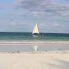 Отель Room in Guest Room - A Wonderful Beach Property in Diani Beach Kenya -a Dream Holiday Place, фото 26