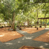 Отель Conch Resort-Luxury Private Pool Suites, фото 17