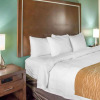 Отель Comfort Inn & Suites, фото 6