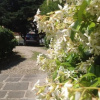 Отель La Piccola Oasi con parcheggio, фото 5