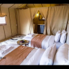 Отель Room in Bungalow - Deluxe Triple Room for Three at Saharian Luxury Camp, фото 4