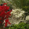 Отель La Chataigneraie, фото 1