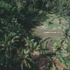 Отель Bobocabin Ubud, фото 20