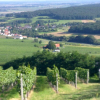 Отель Krutzler, фото 22