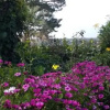 Отель quinta Colina flora, фото 11