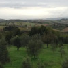 Отель Agriturismo Montalbuccio, фото 4