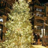Отель Tahoe Mountain Resorts Lodging, фото 1