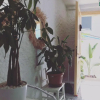 Отель Eva Otel Çeşme, фото 11