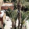 Отель Ouarzazate Le Tichka в Уарзазате