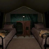 Отель Thorn Tree Bush Camp, фото 4