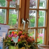 Отель Sonnenhof - Ferienwohnung, фото 12