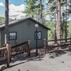 Отель Alpine Village Cabin 100 - Four Bedroom Cabin, фото 1
