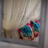 Отель Anchor Suites, фото 2