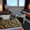 Отель Hostel U Kožovy Hory Kladno, фото 7