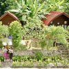Отель Jungle Paradise, фото 10
