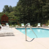 Отель Yogi Bear's Jellystone Park at Pigeon Forge/Gatlinburg, фото 2