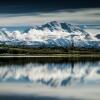 Отель Denali Crow's Nest Cabins, фото 6