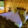 Отель Magical Tented Lodge in Yala- Thissamaharamaya, фото 11