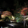 Отель Koyasan Sainan-In, фото 1