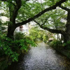 Отель JAPANING HOTEL Kiyomizu Gojo, фото 25