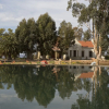 Отель Rietfontein Ostrich Palace, фото 25
