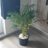 Отель Apartament AntoniaS, фото 13